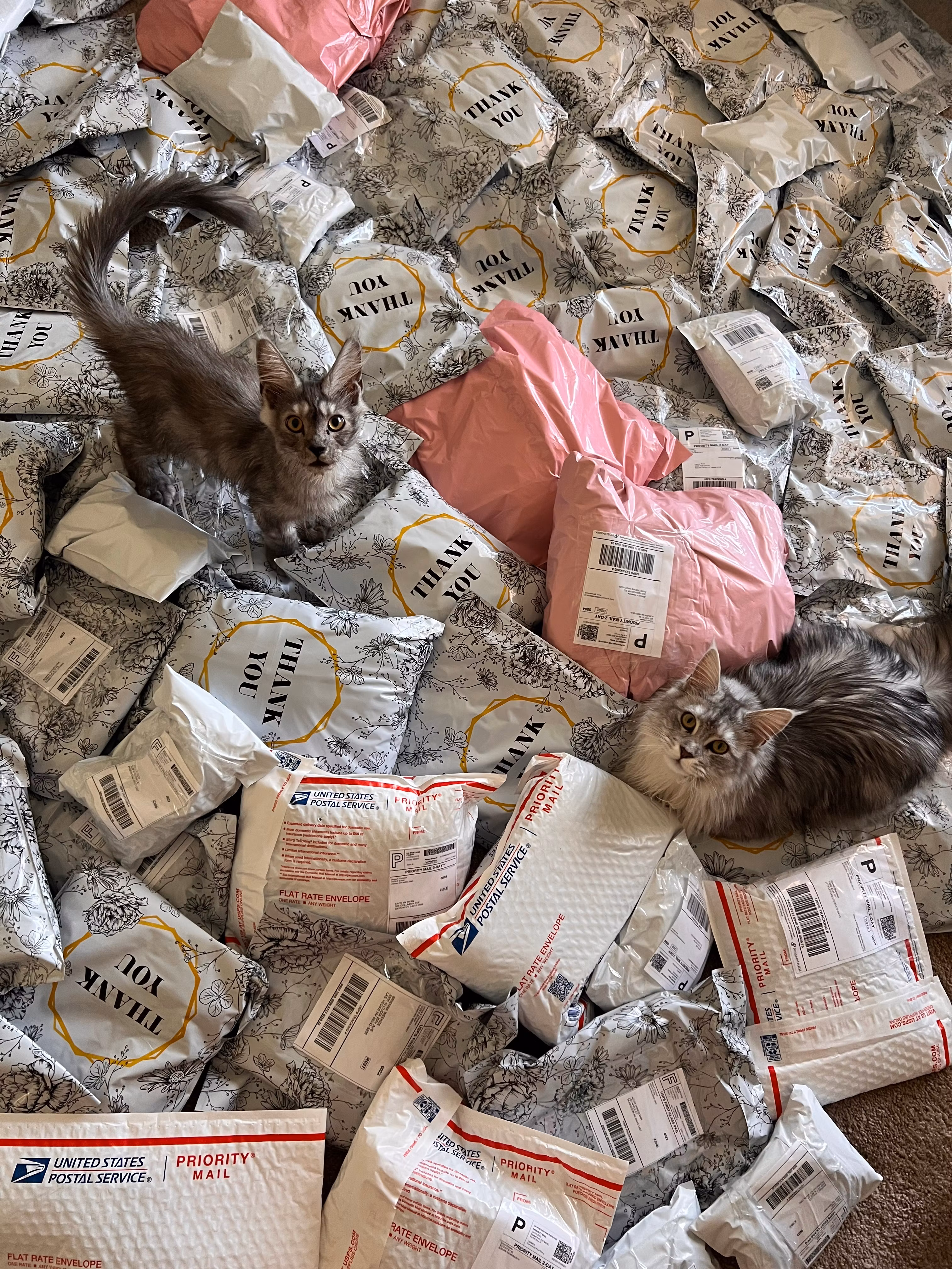 Bulk / Wholesale 