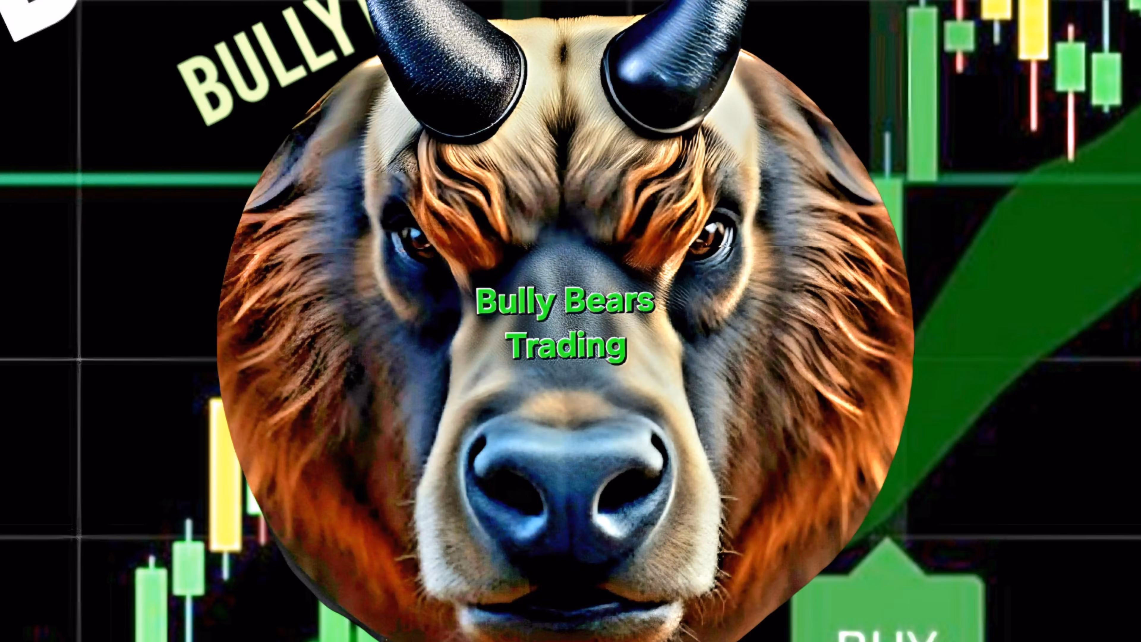 Bully Bears scalp Free