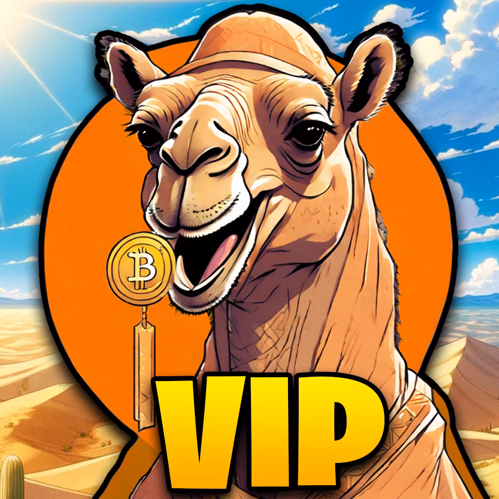 Crypto Camel