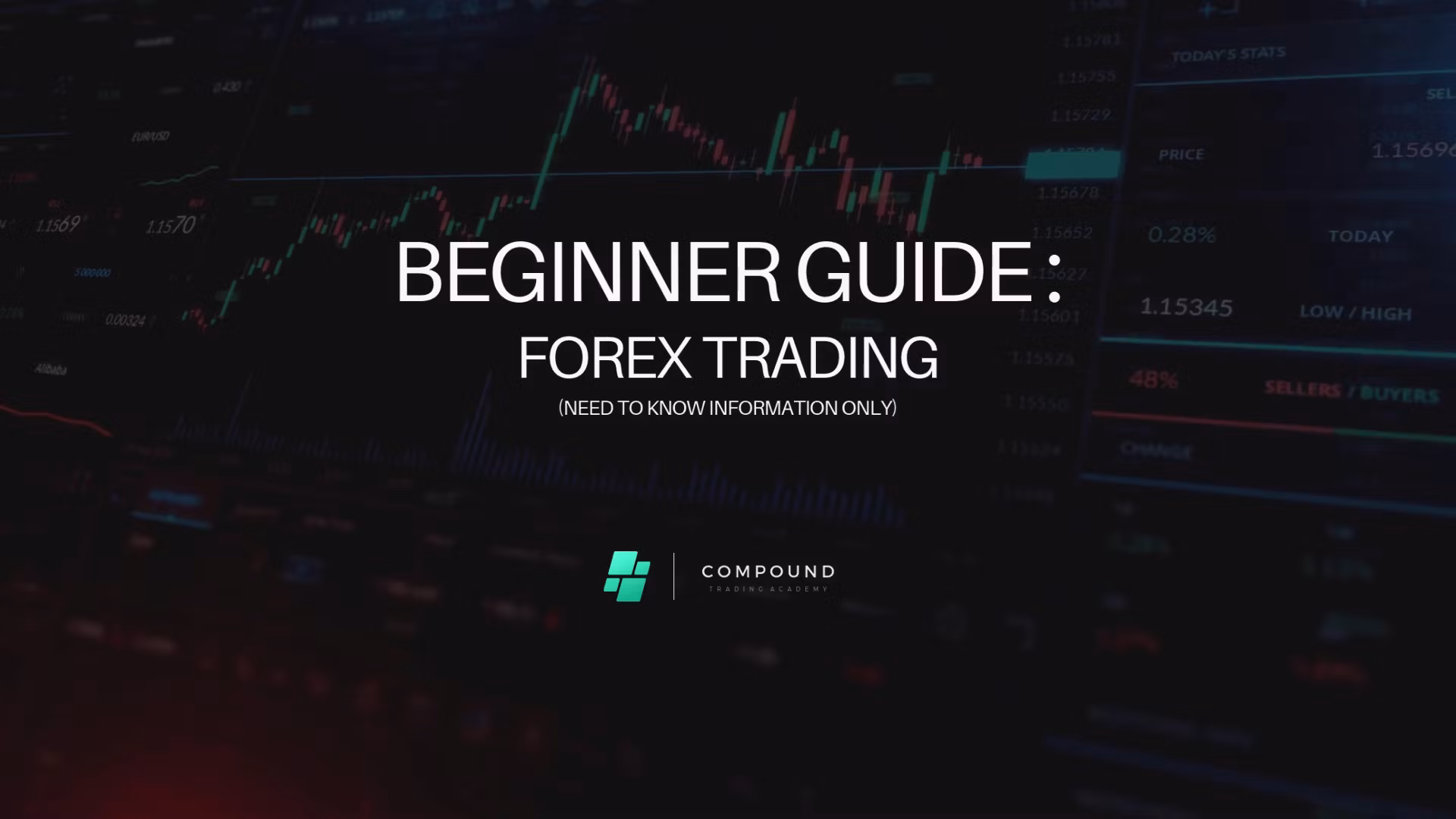 Forex Beginner Guide