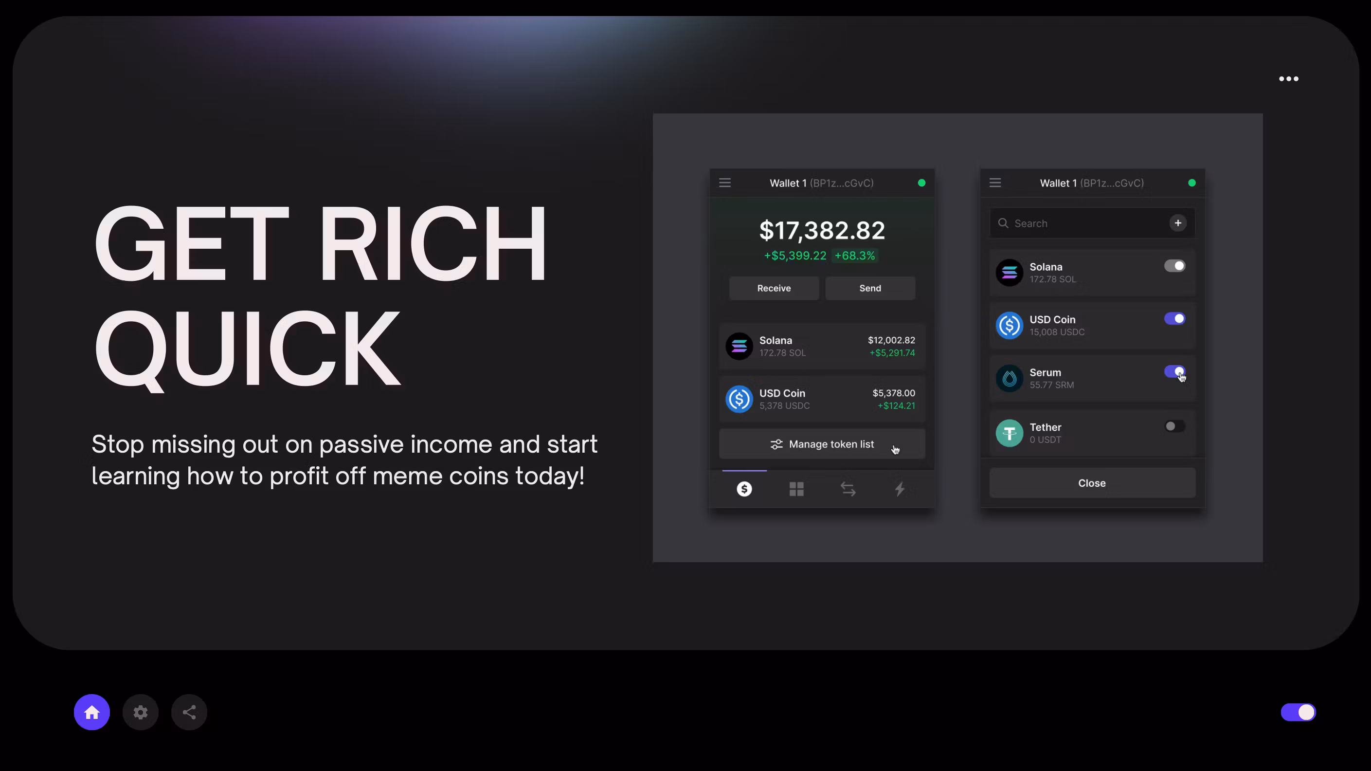 Memecoin Mania