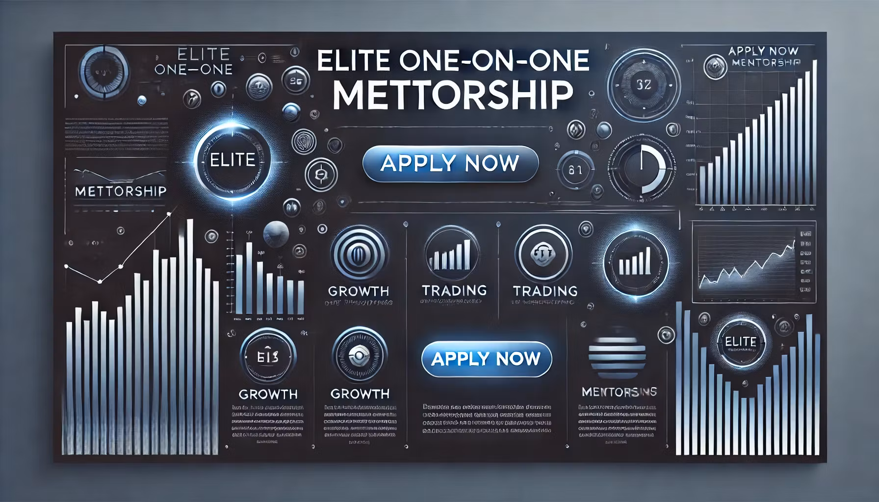 Elite One On One Mentorship