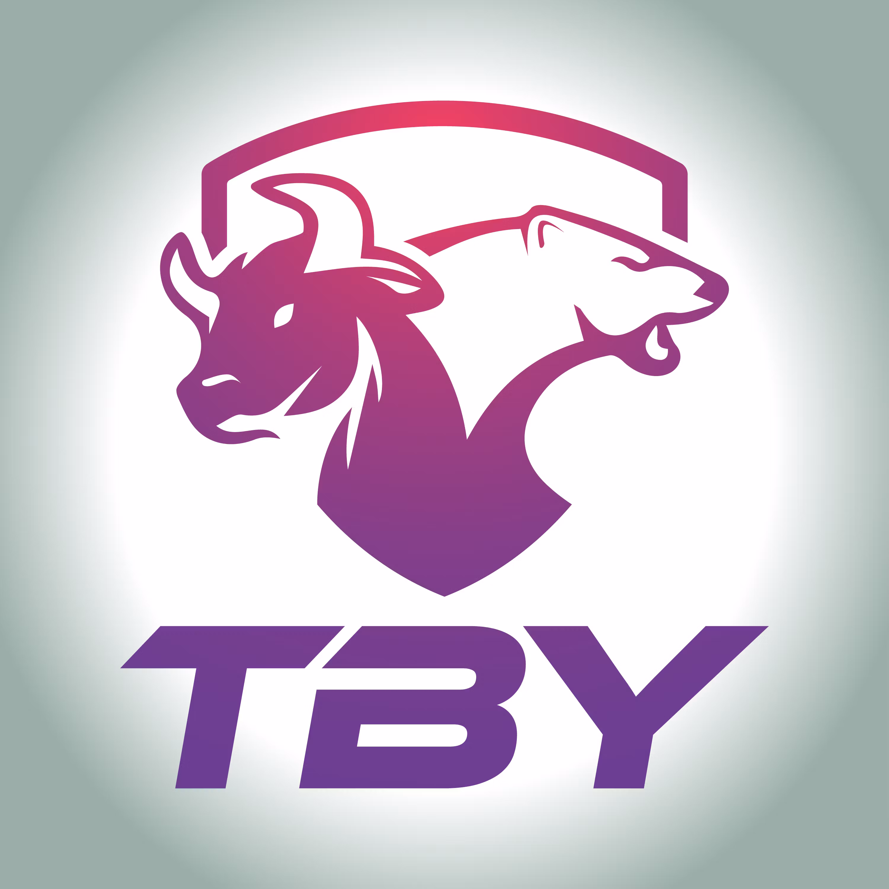TBY Investments