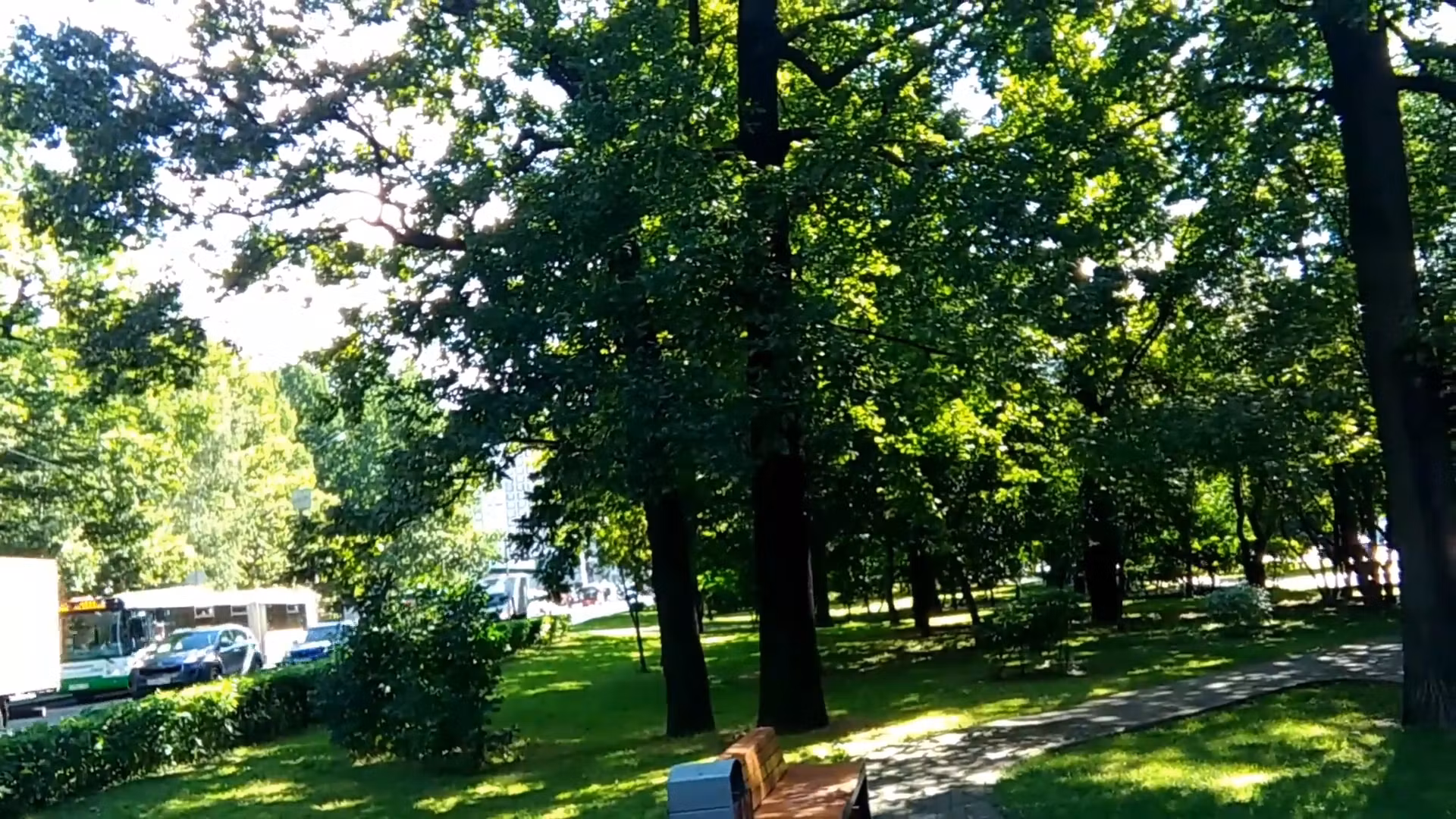 Video preview