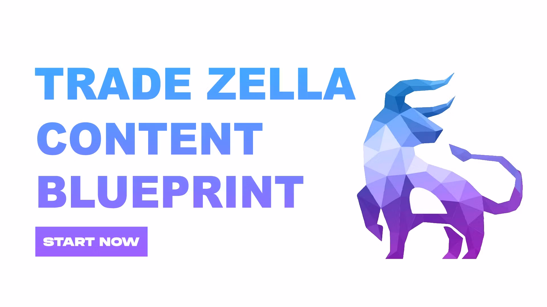TradeZella Creators