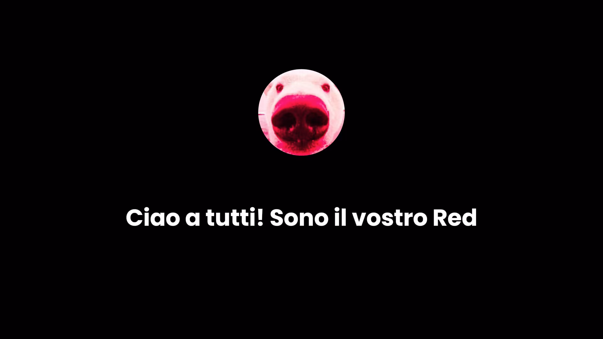 Red Alpha🔴
