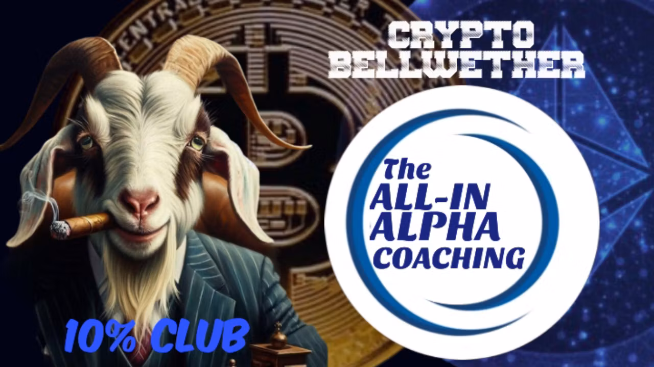THE ALL IN ALPHA COACHING