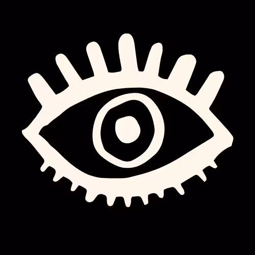 RIZVISIONS