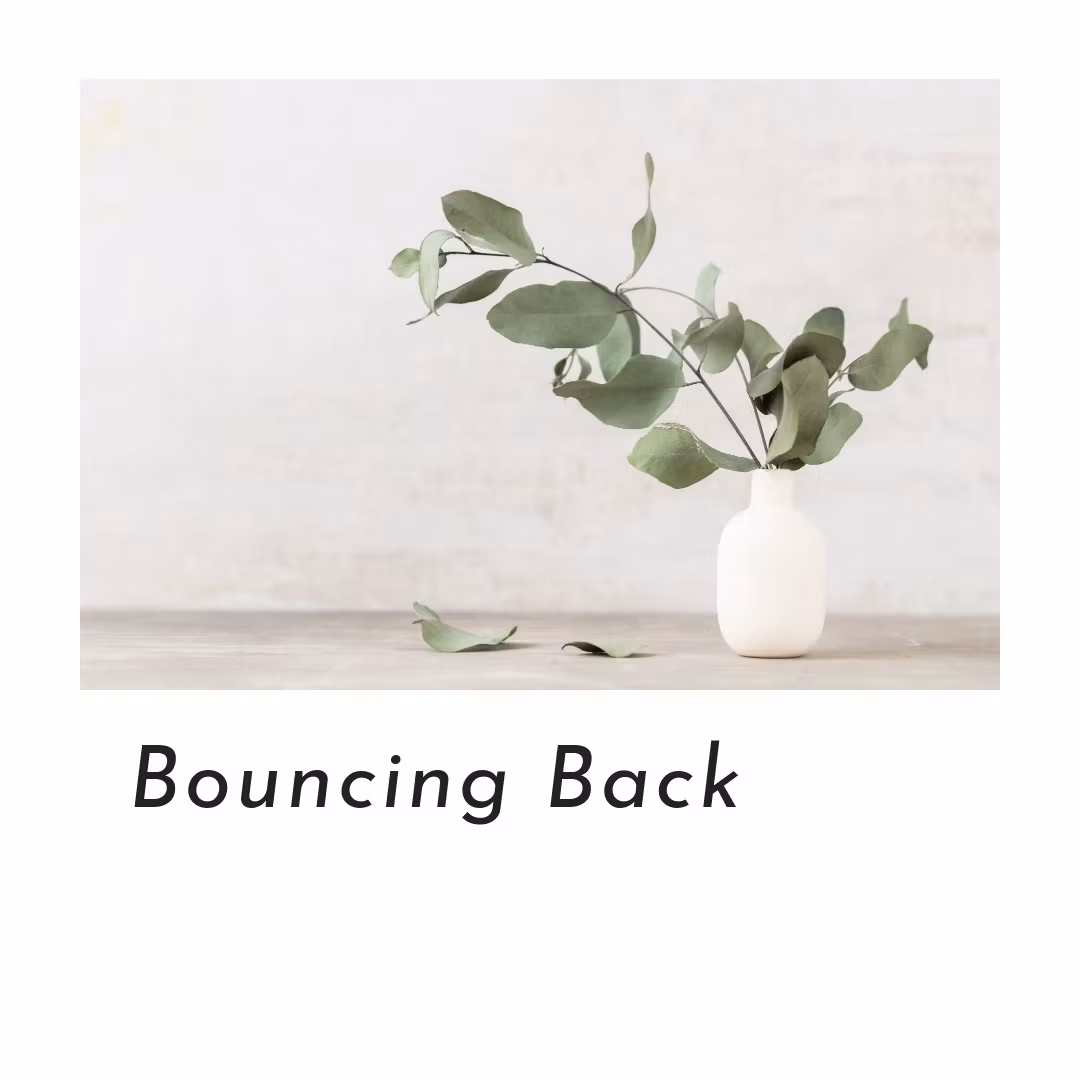 Bouncing Back