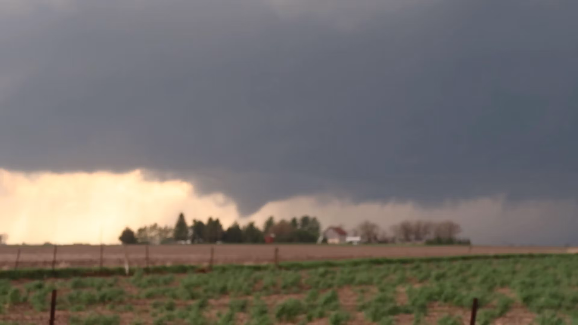 Storm Chase Syndicate