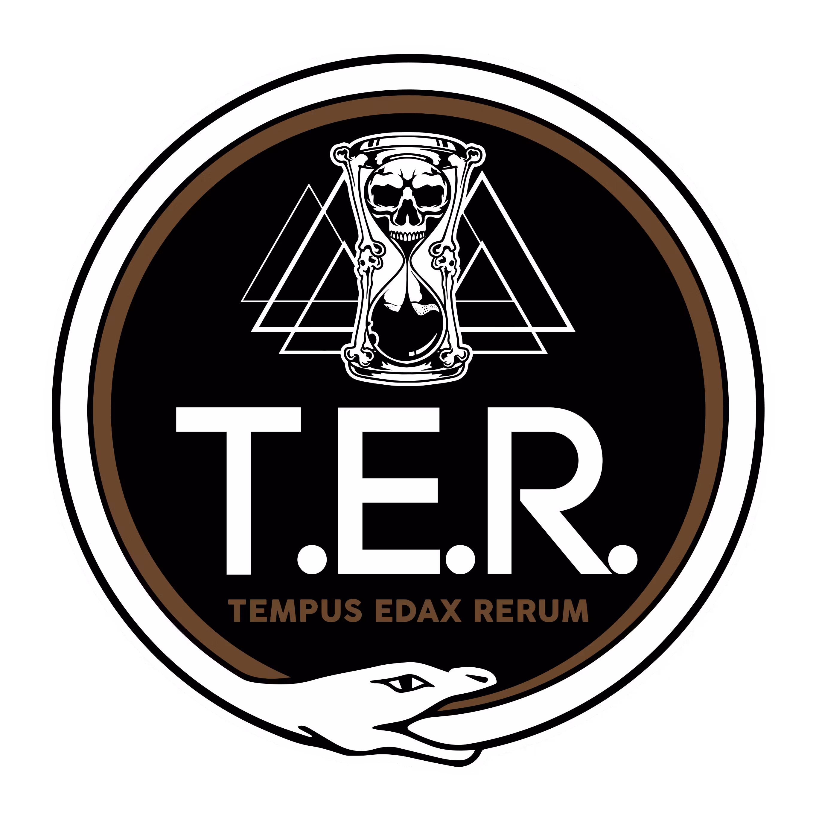 T.E.R. private mentorship