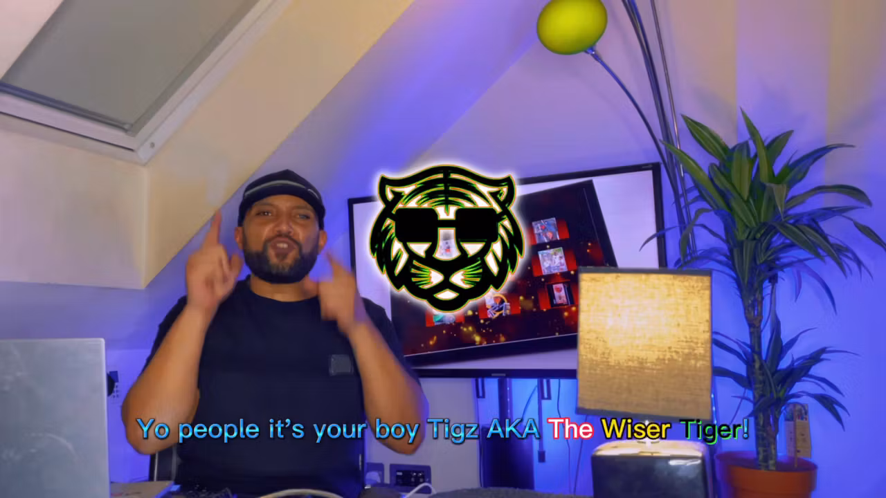 The Wiser Tiger Graphic Design