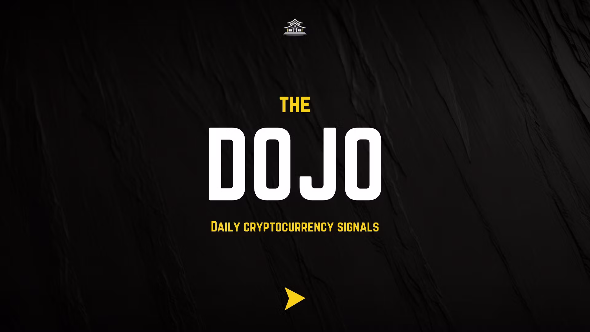 The Dojo