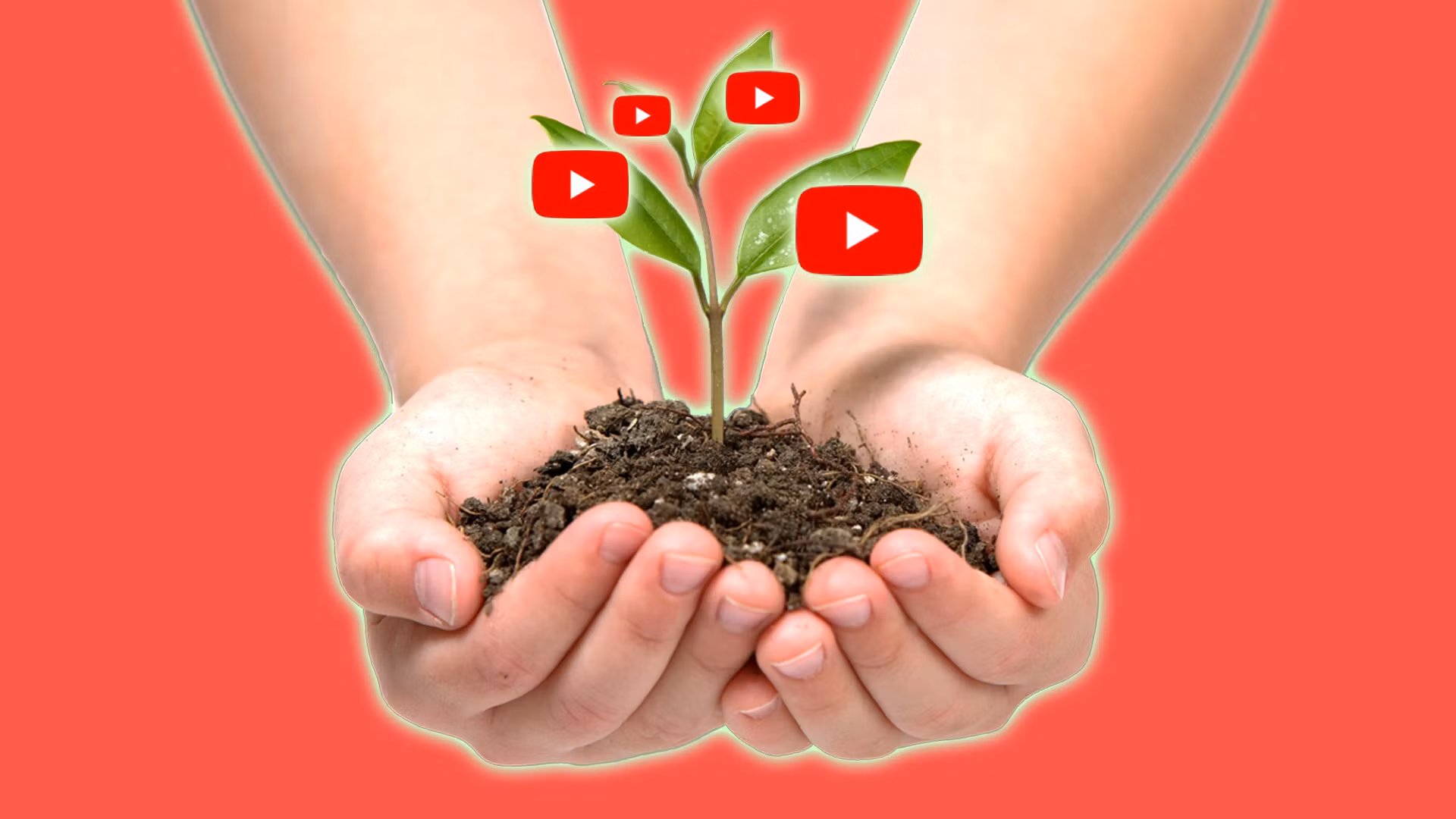 Growing YouTubers