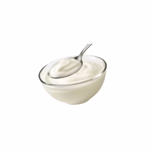 Yoghurt Hustlers [YT MONEY]