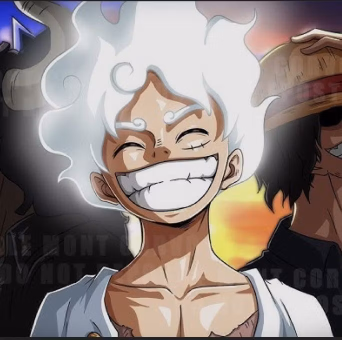 One piece coin