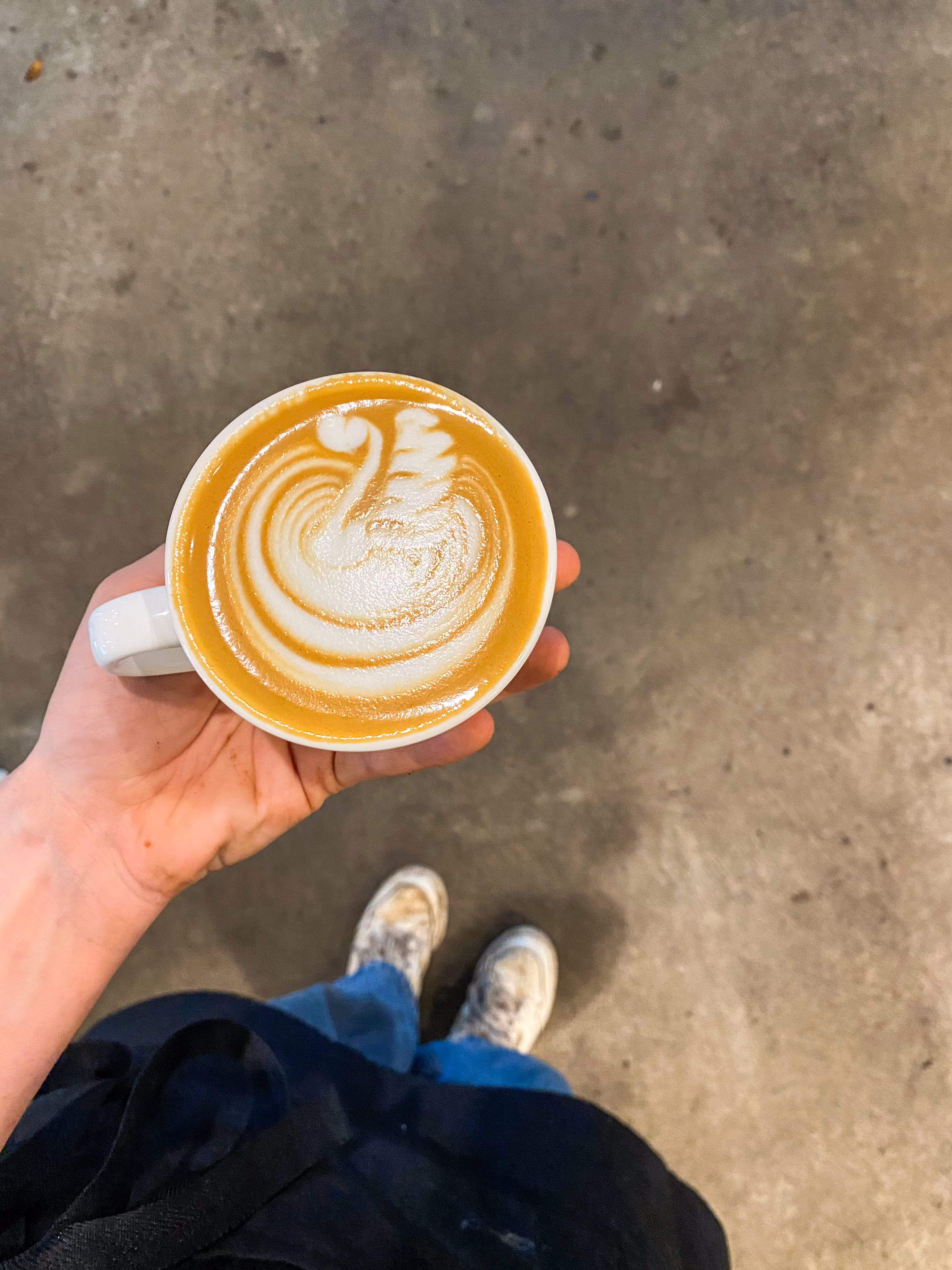 Barista Basics