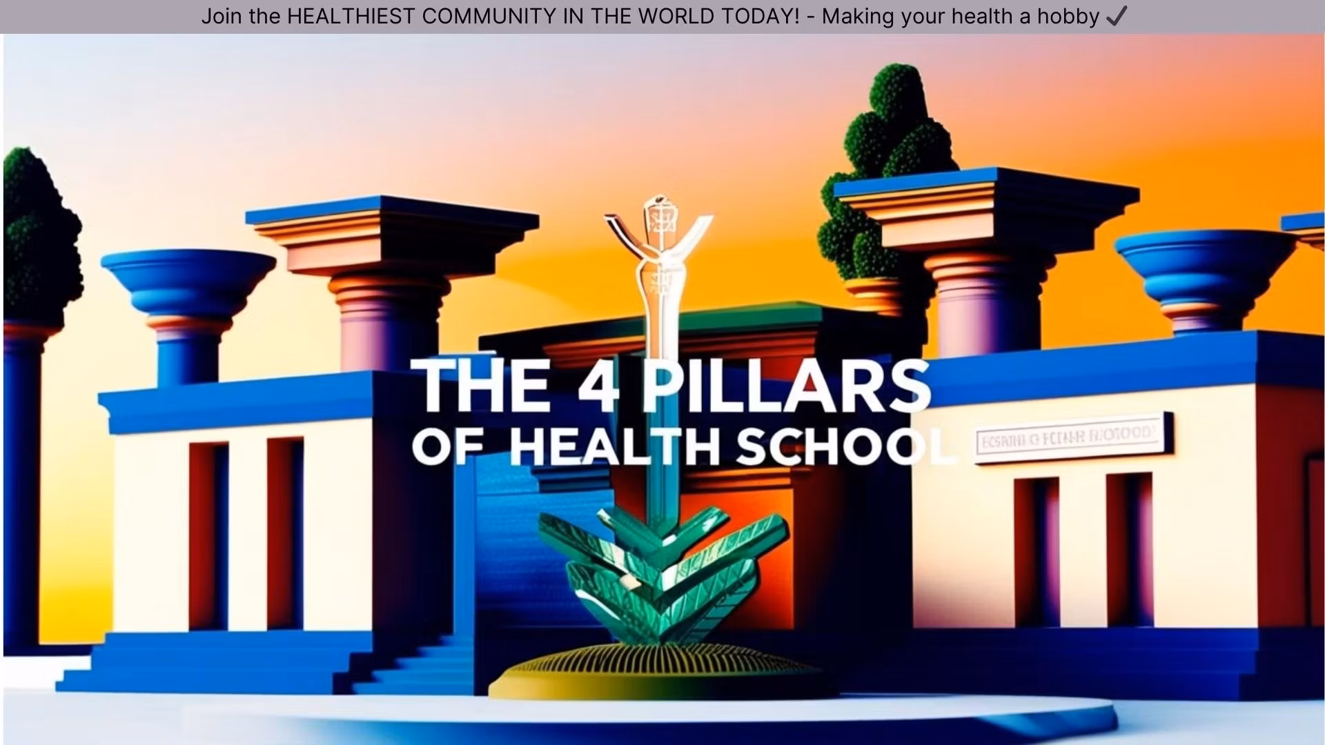 The 4 Pillars of Health School