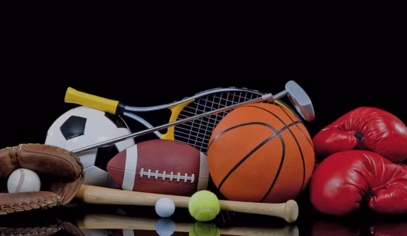 Sports and fitness 