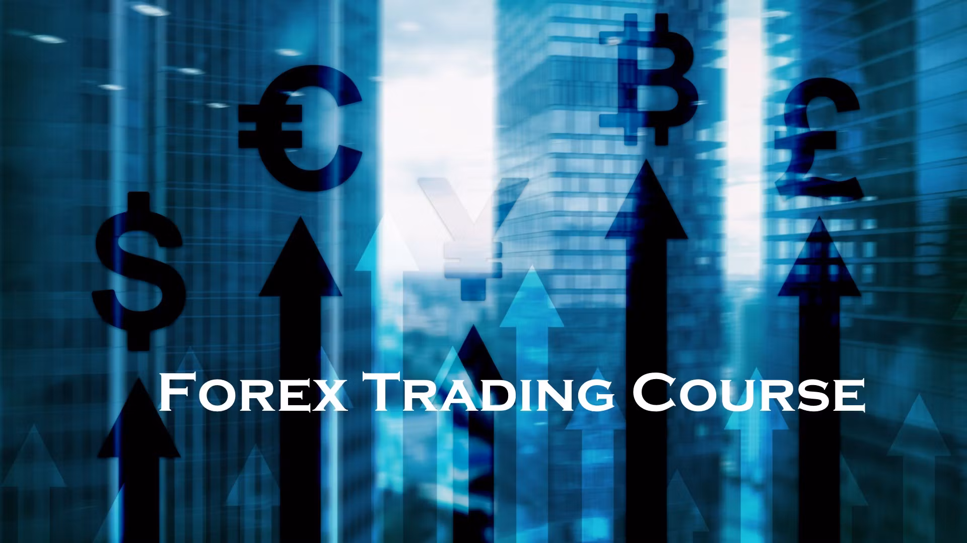 Forex Trading OG