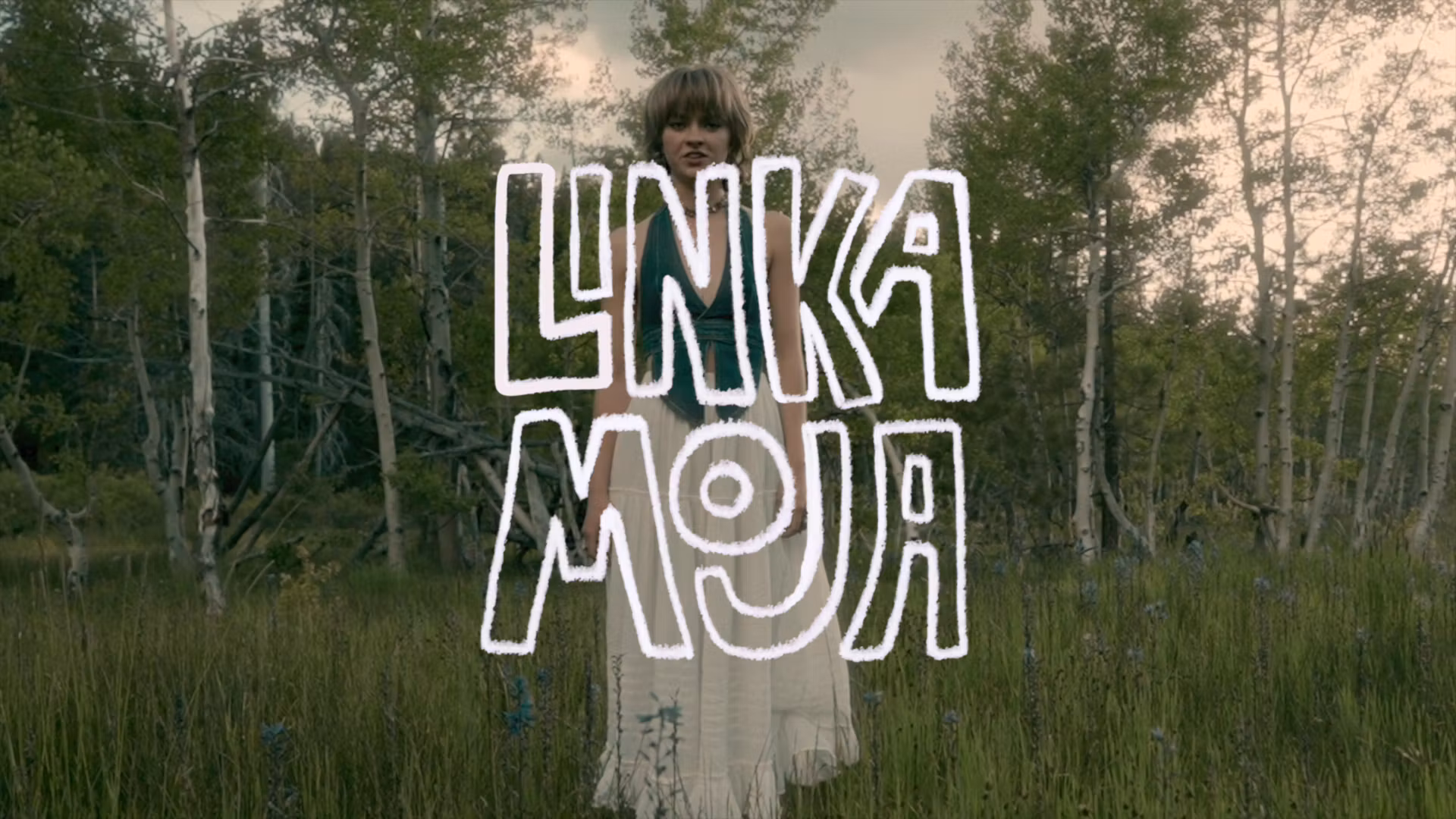 LINKANATOR