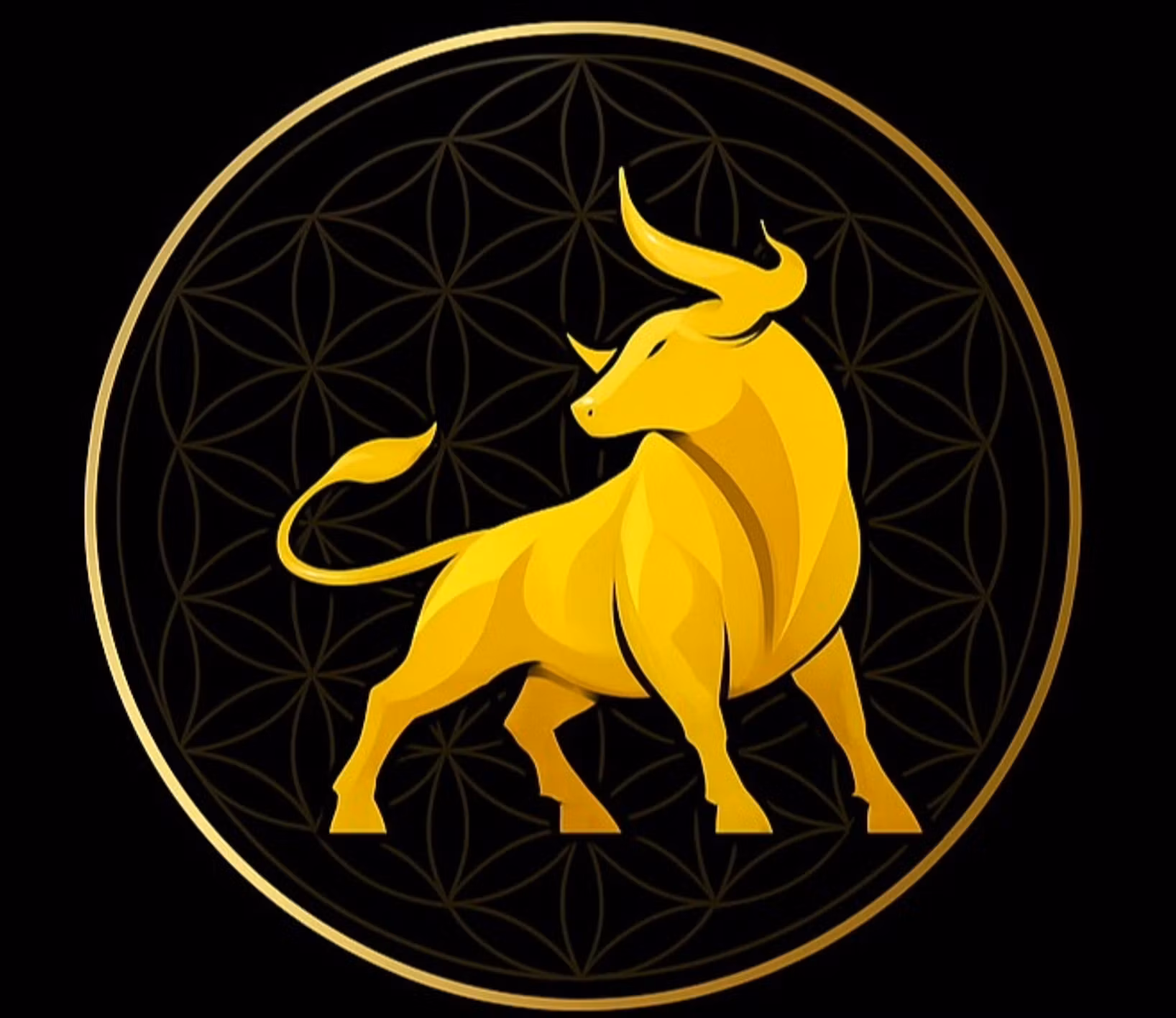 Wealth Builders
