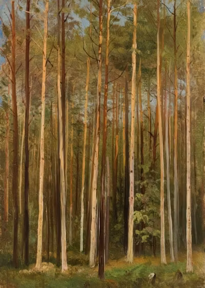 Shoirbek