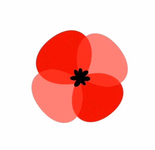 Tall Poppy University