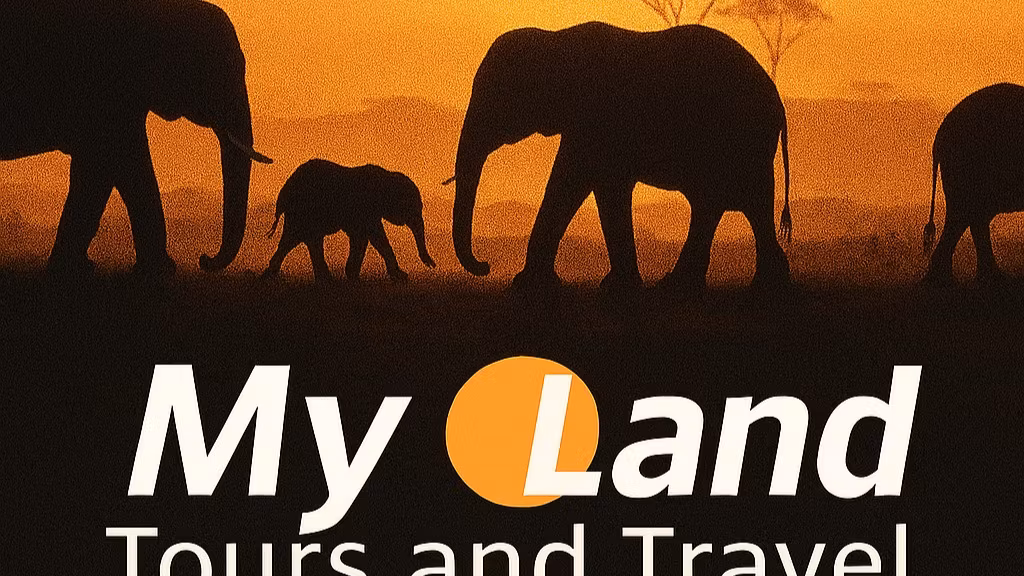 My Land Tours and Travel