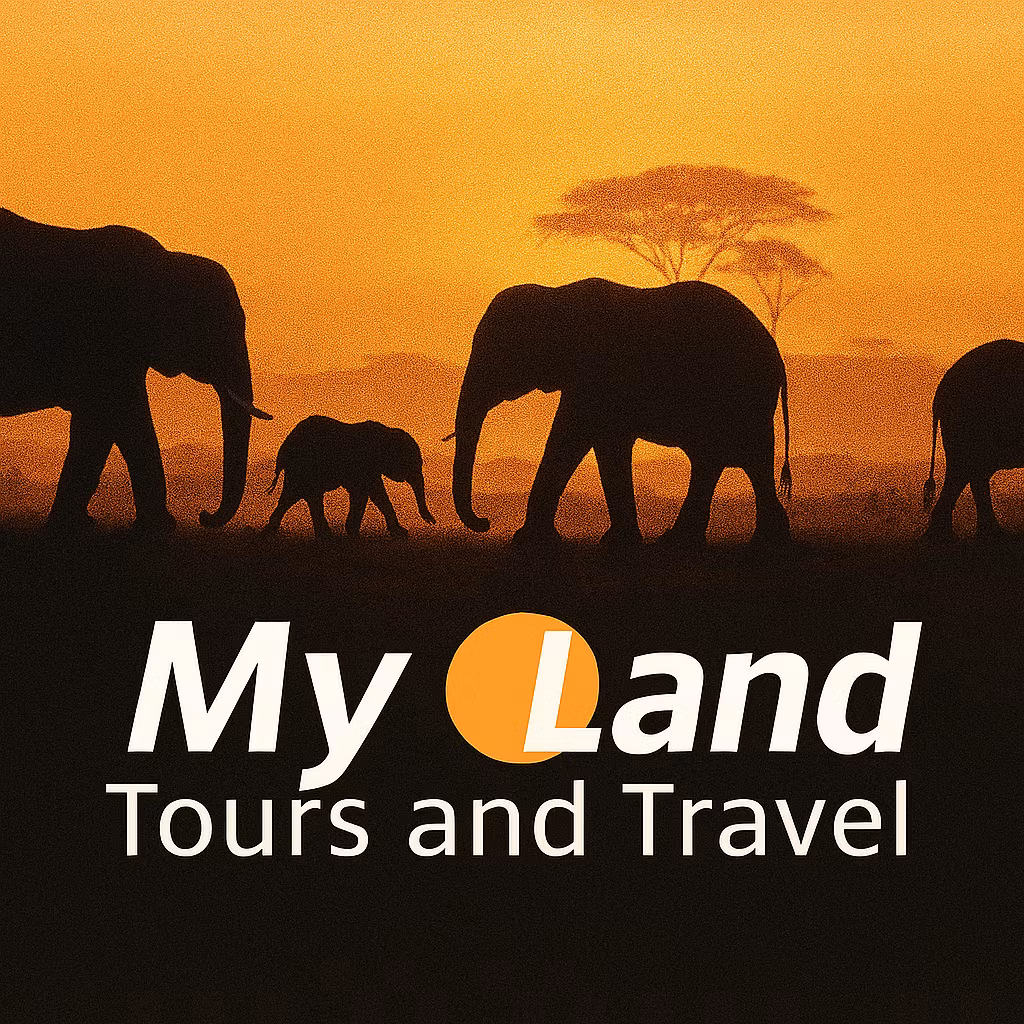 My Land Tours and Travel