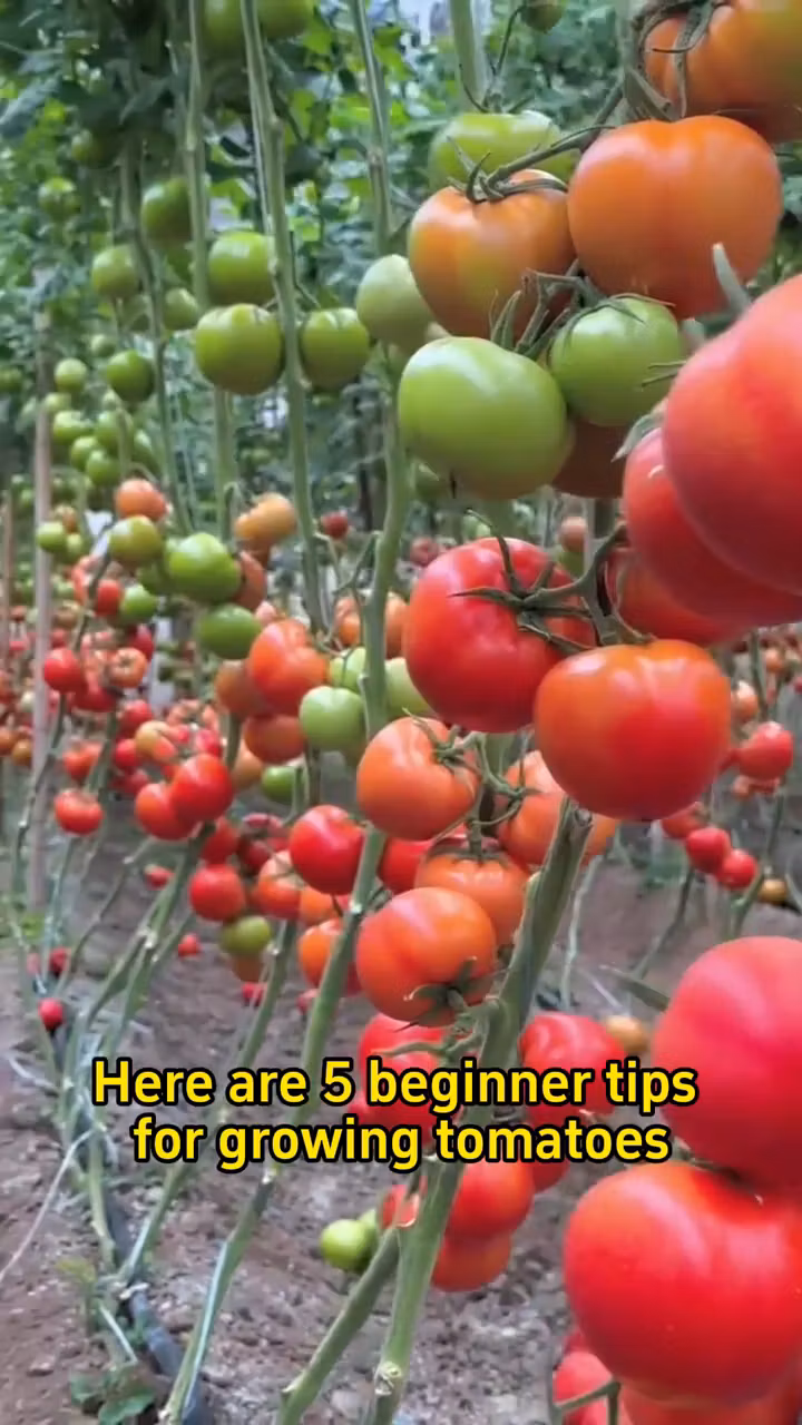 Genuine Garden 