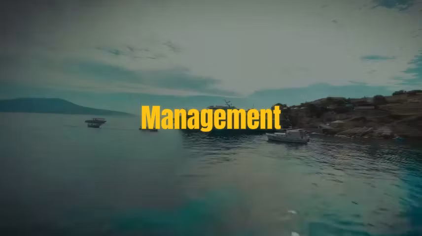 OFM Agency Playbook