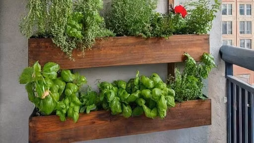 Balcony Herb Garden Mastery