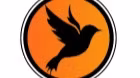Blackbird Digital PR