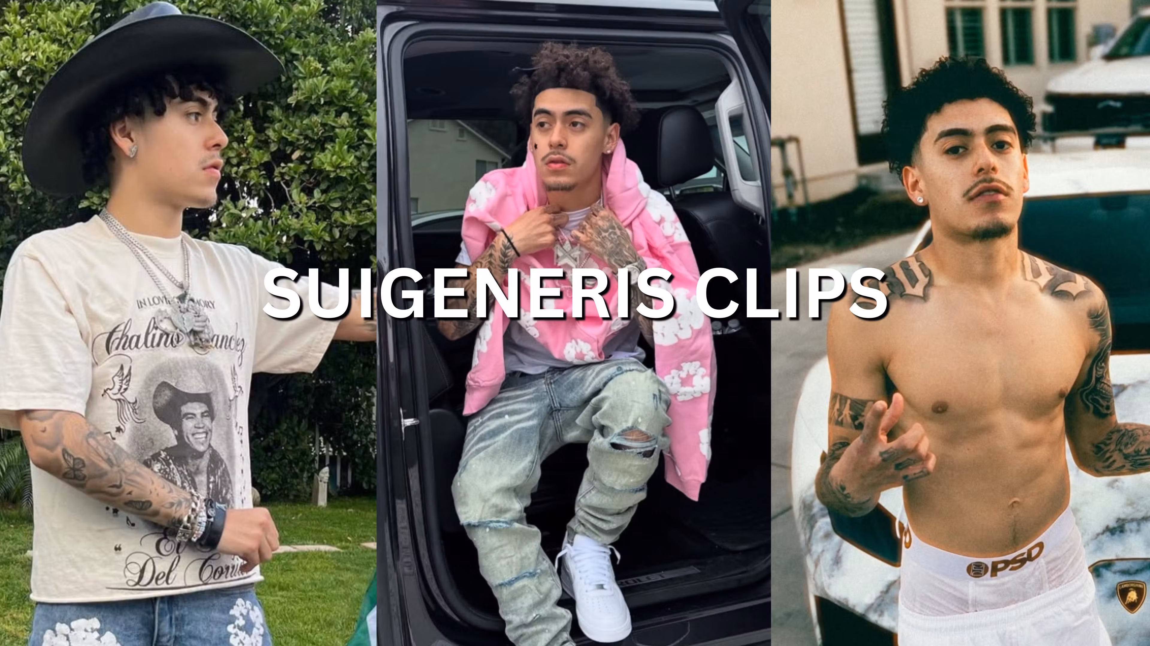 Suigeneris Clipping
