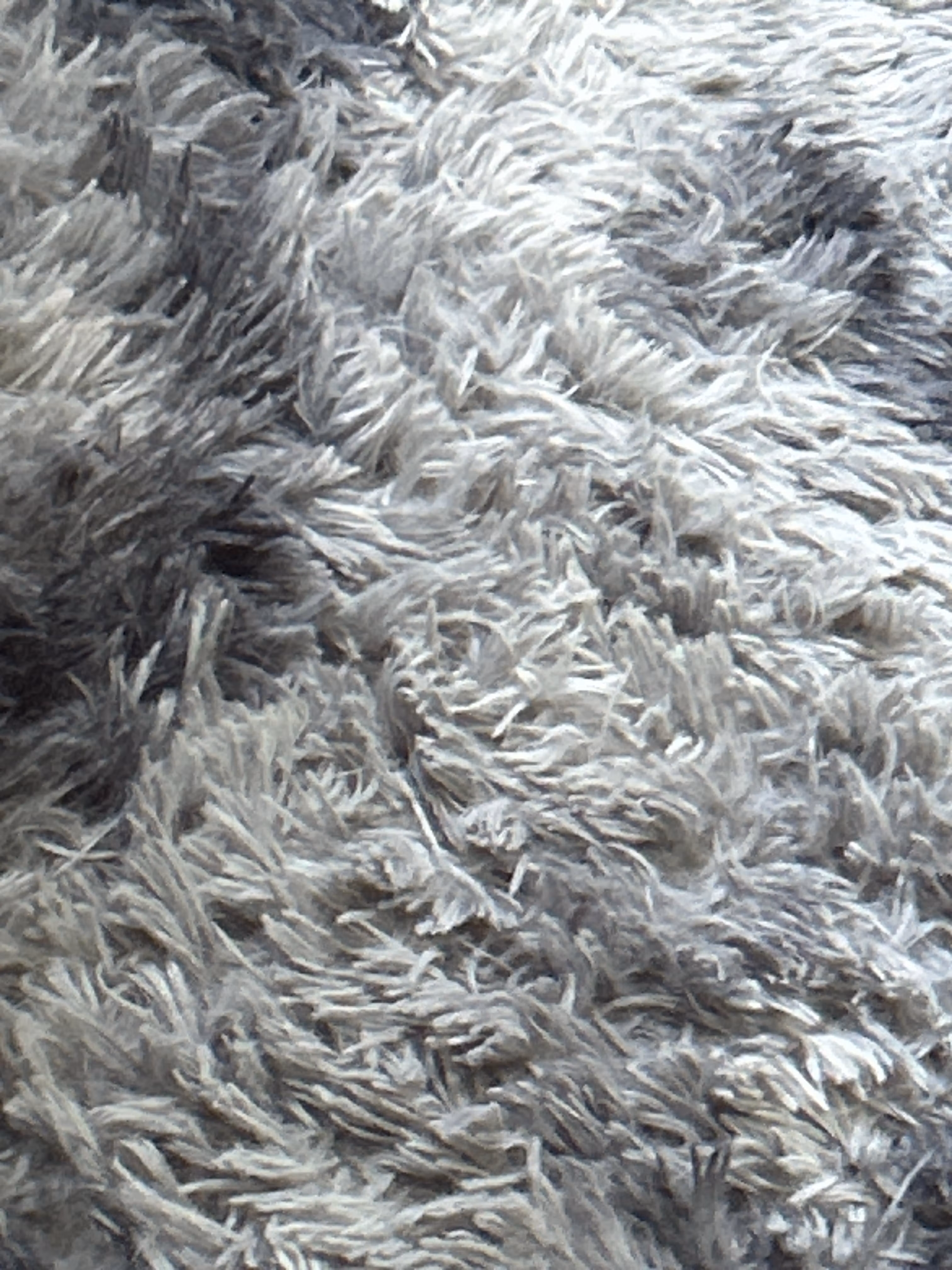 Clipping central