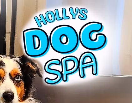 Hollys Dog Spa
