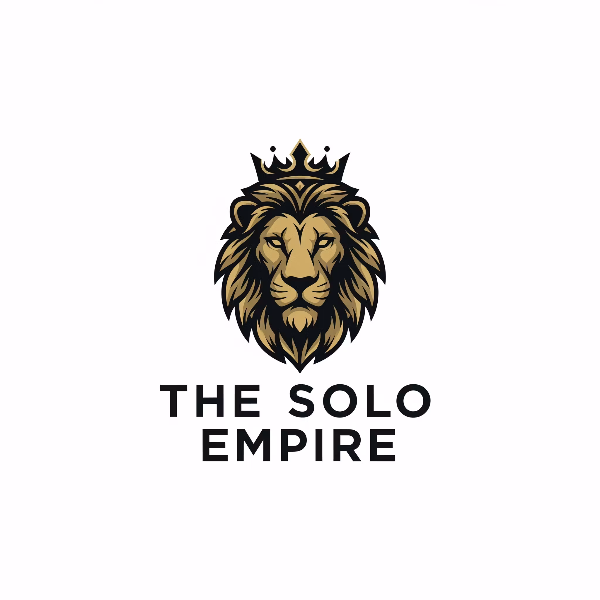 The Solo Empire Business