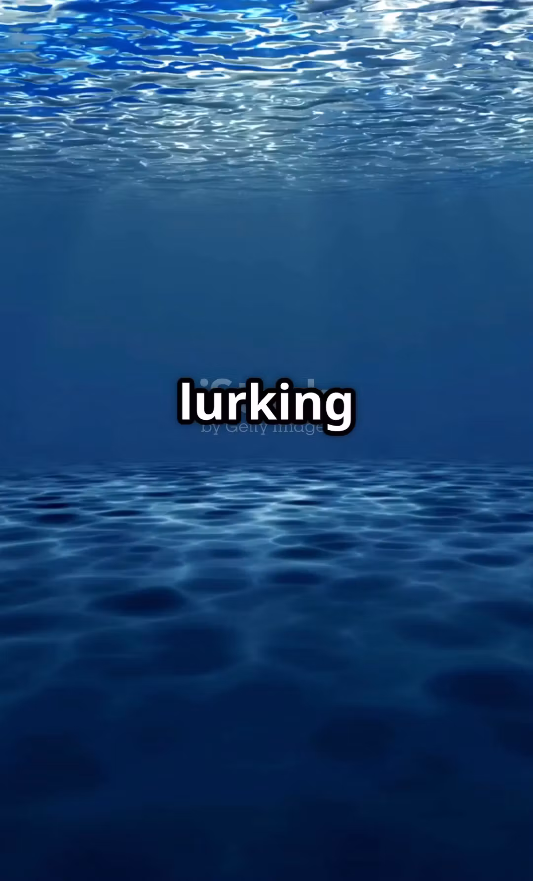 jtclips