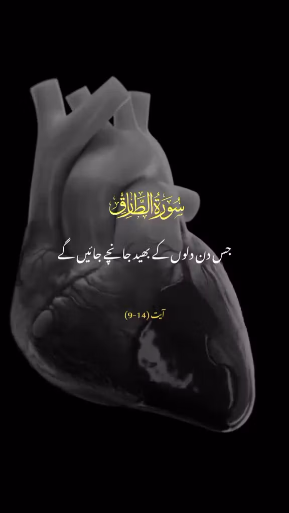 Quran 