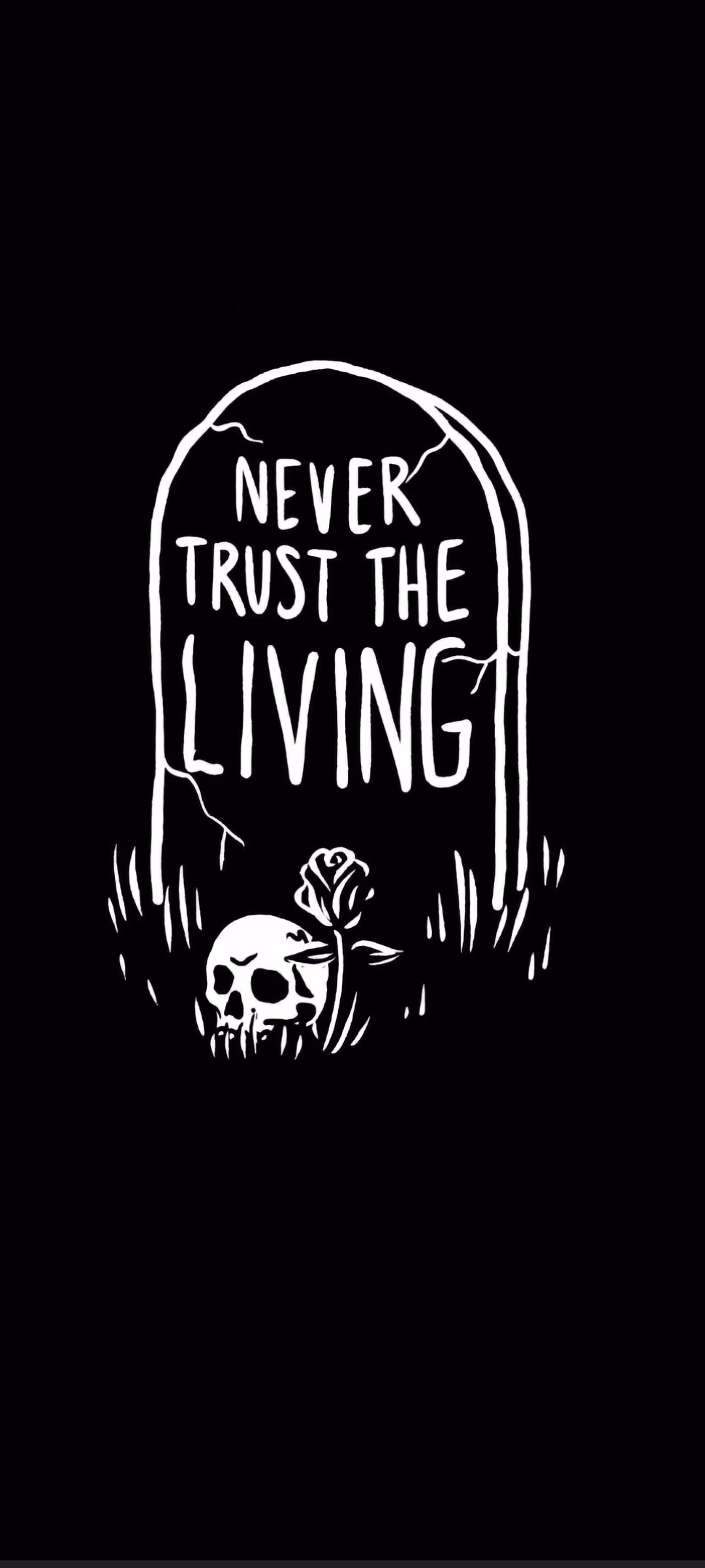 Skulls are us