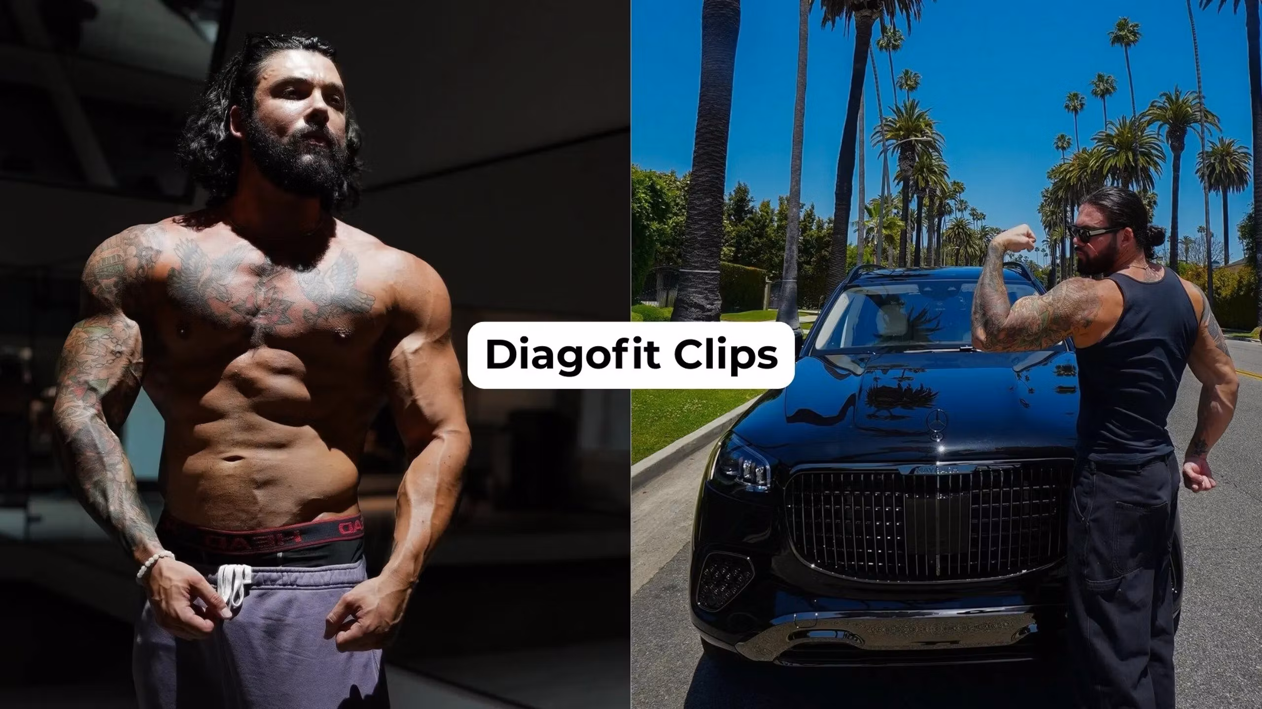 Diagofit Elite Clips