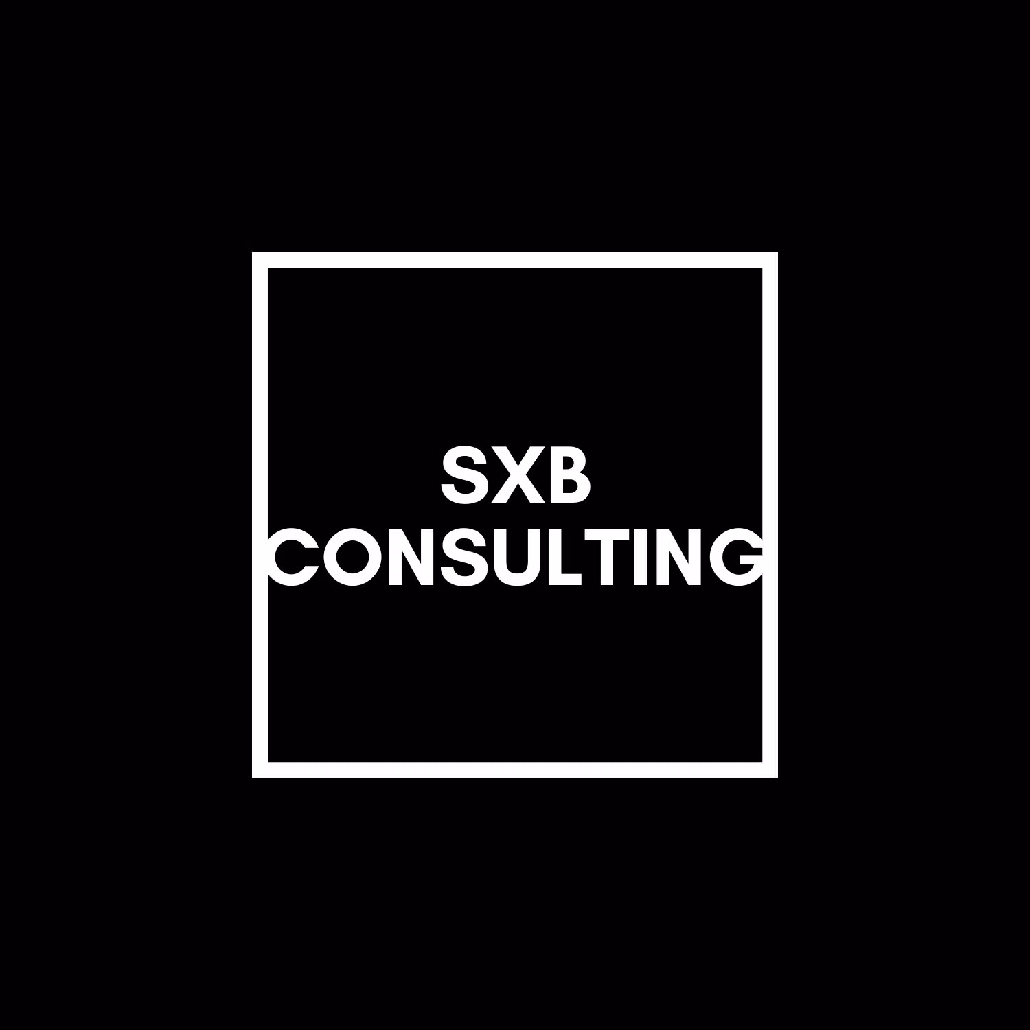 consulting 1-1