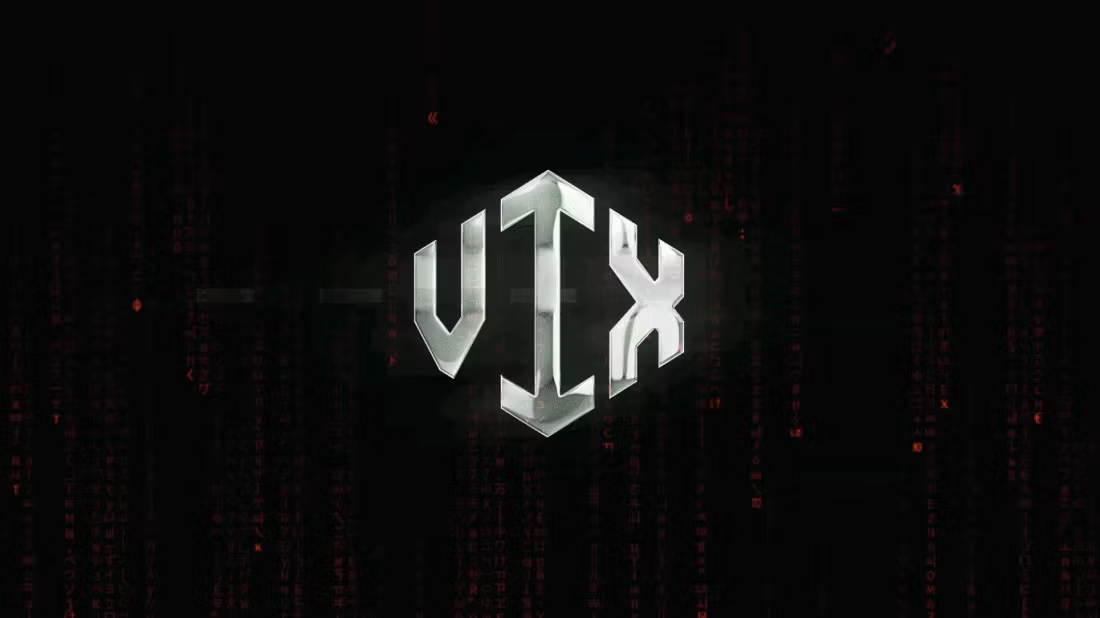 Vix 1-1 Mentorship