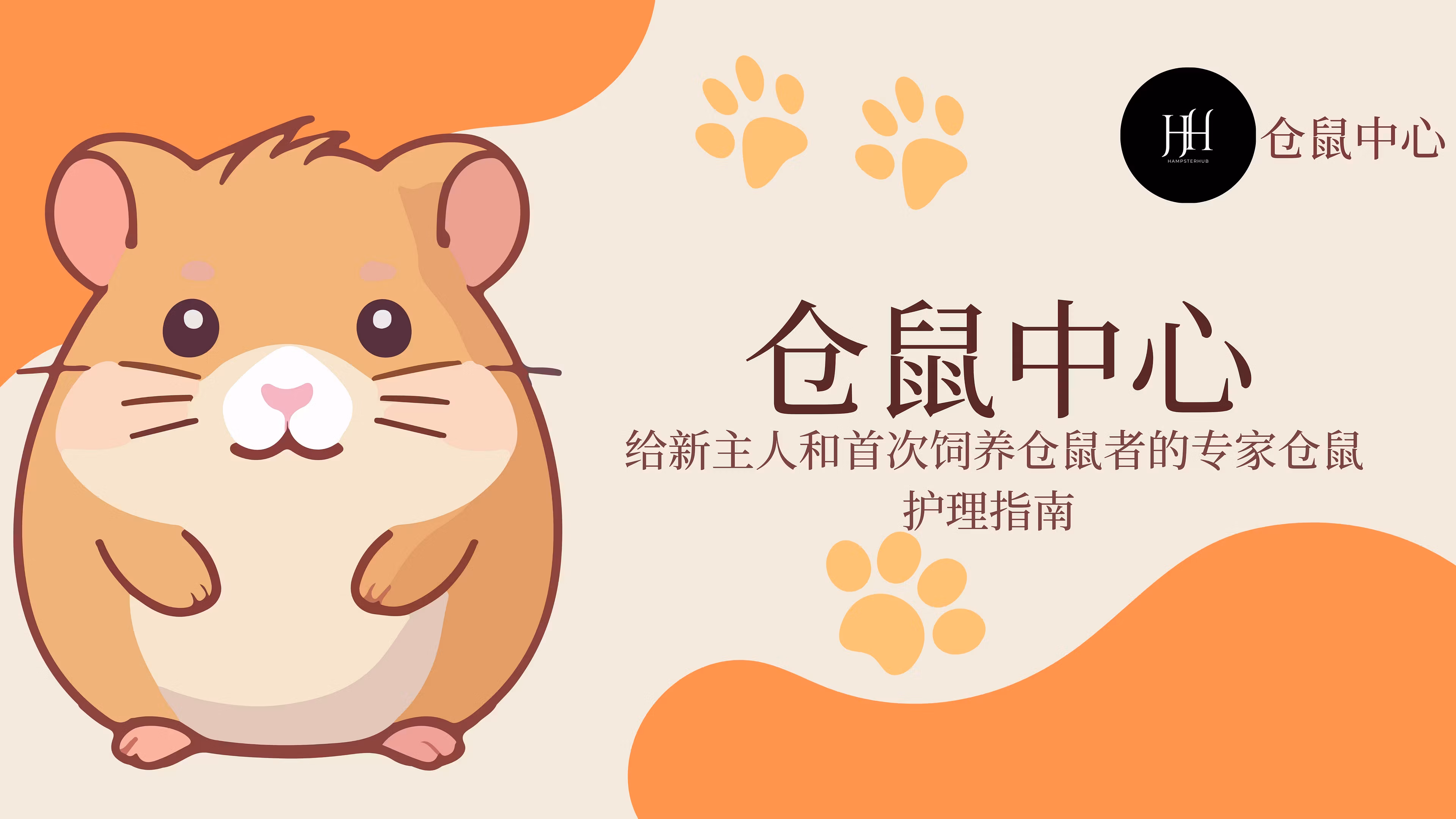 新主人仓鼠护理指南