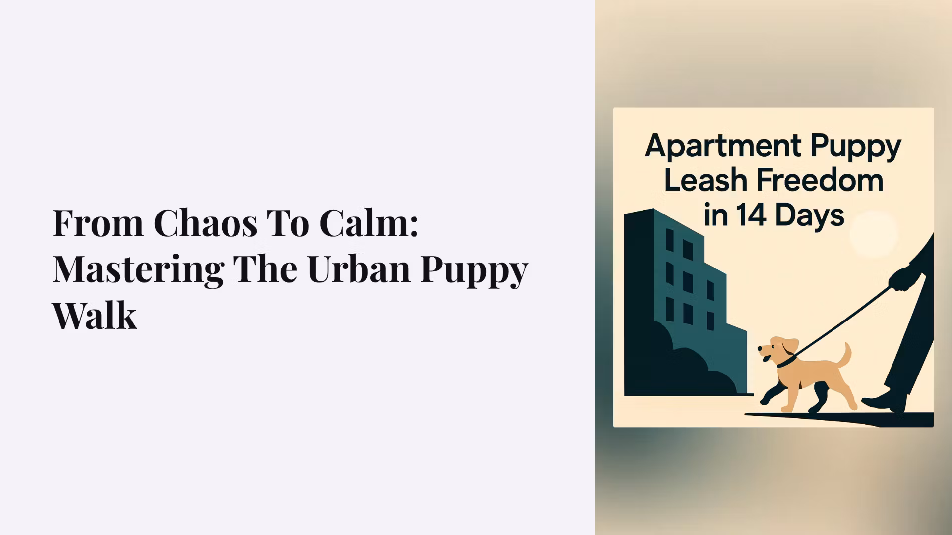 Apartment Puppy Leash Freedom