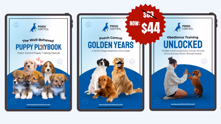 The Ultimate Dog Care Bundle