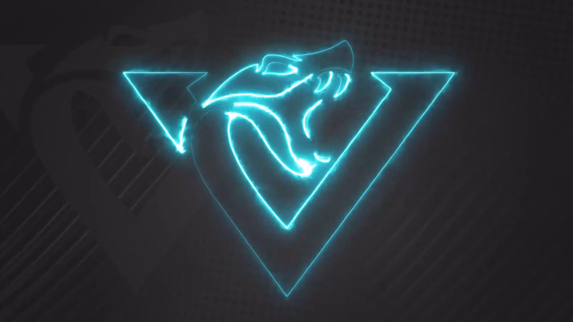 The Viper Blueprint
