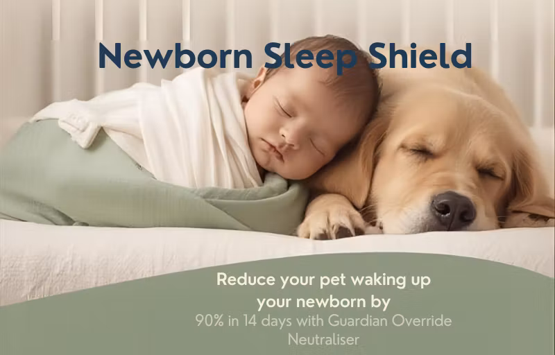 Newborn Sleep Shield