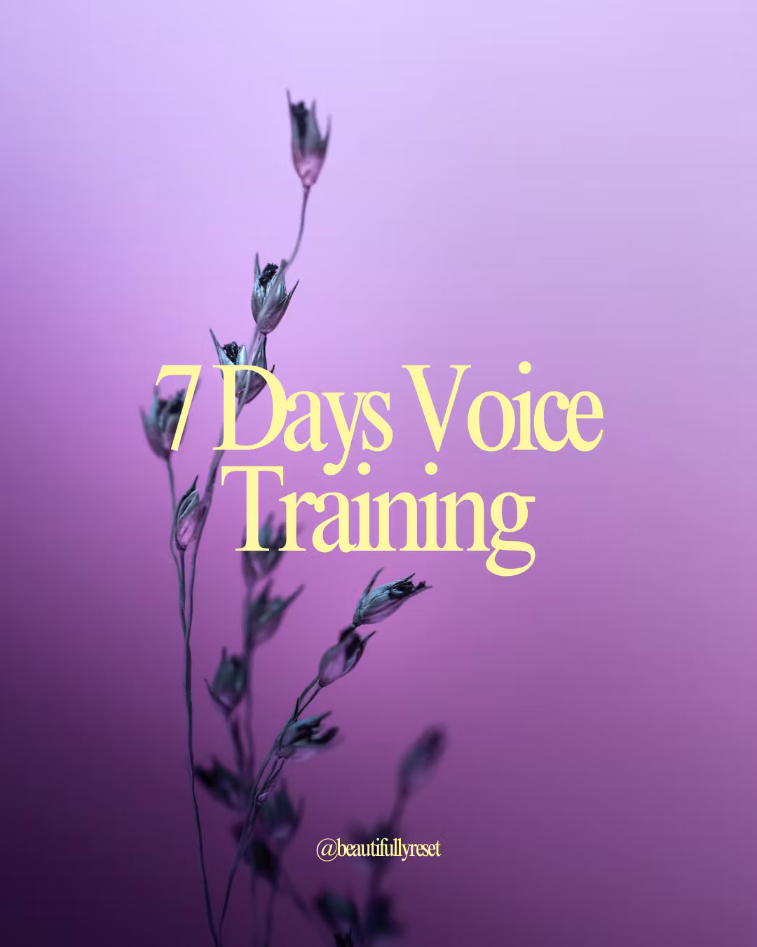 7 Days Voice Training Ebook
